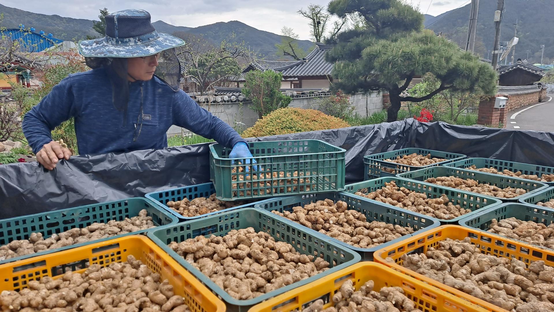 74ef9612a3cd2.jpg