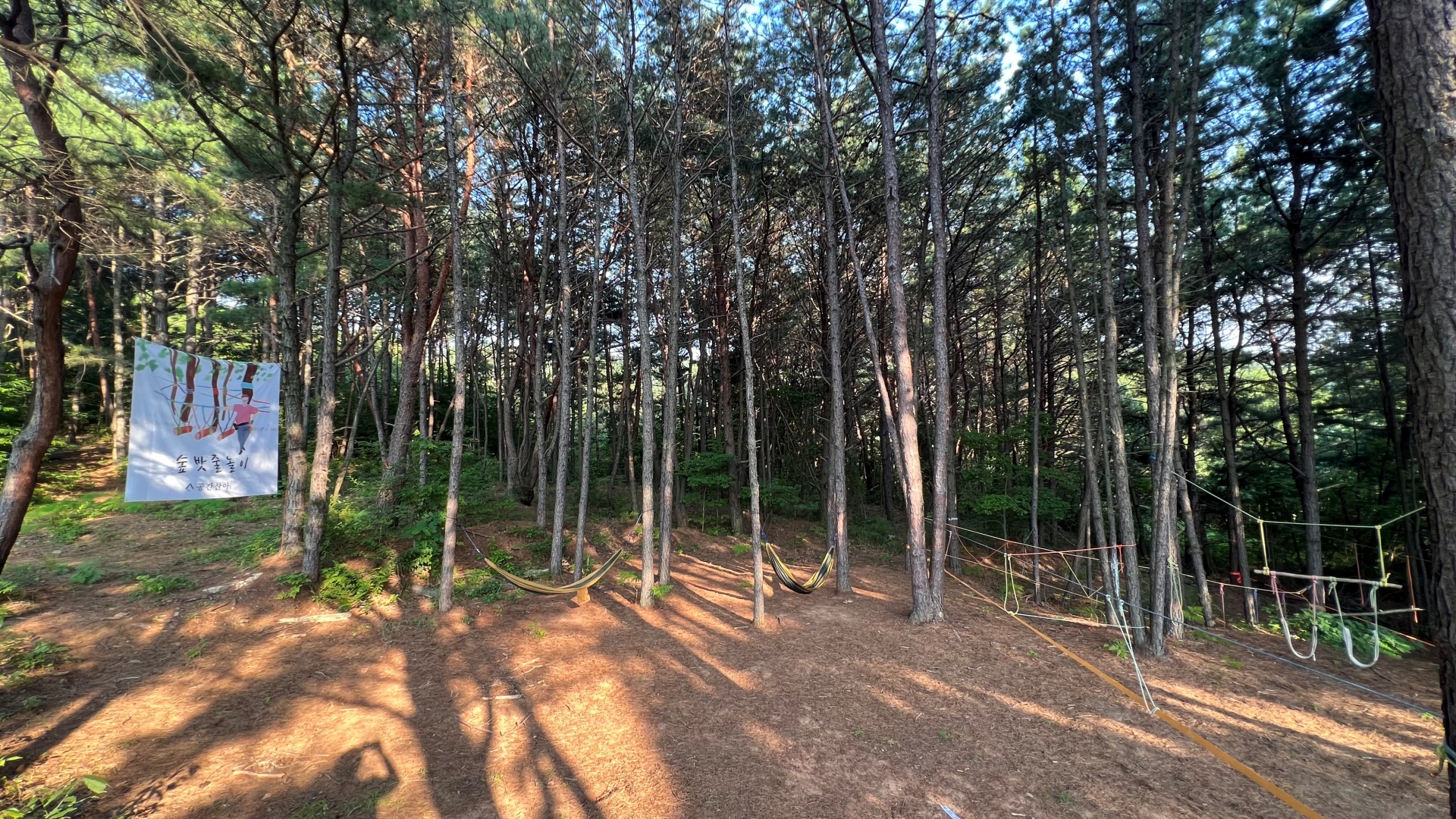 산청_정효은 (6).jpg