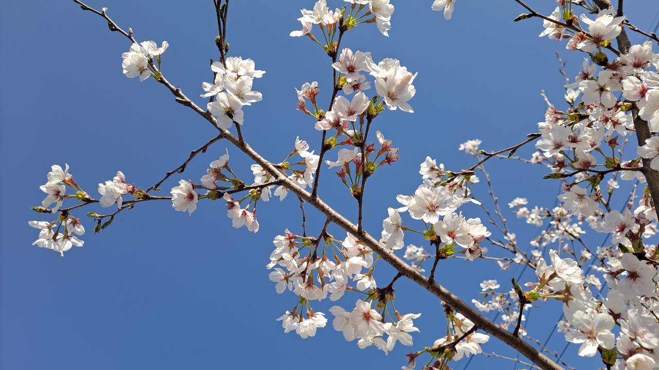 7efcb5c5021a0.jpg