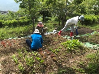 하동_떠텃 (7).jpg