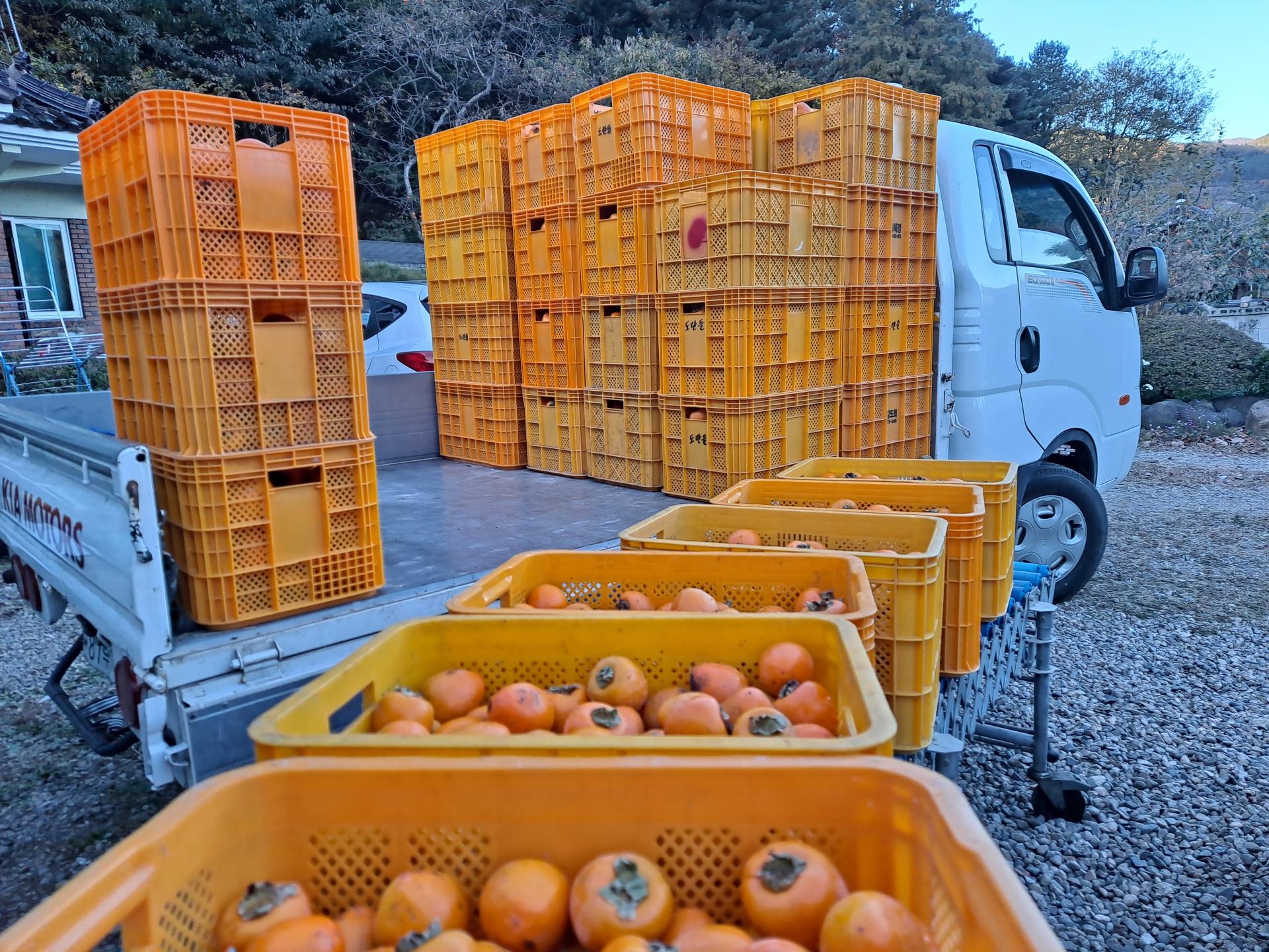 a6ea306ff71f7.jpg