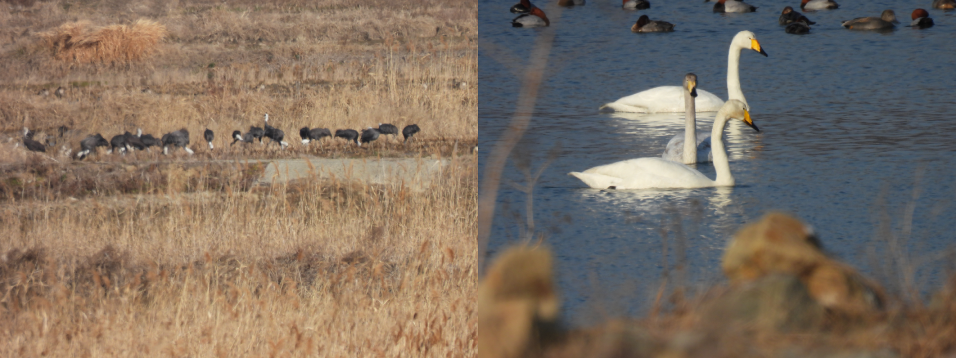 사진2, 사진3.png