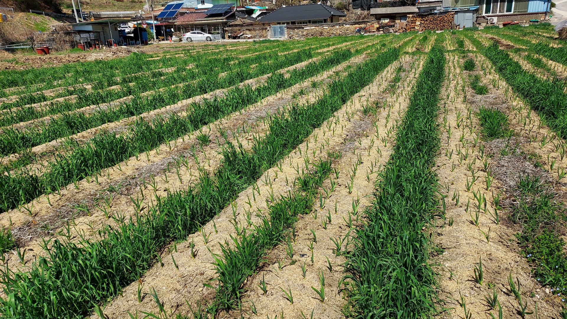 소설가 김탁환_곡성에서의 '두 번째 발아'… 소멸하는 곳은 서울 : 평생학습이음 | PEOPLE, image size:1920x1080