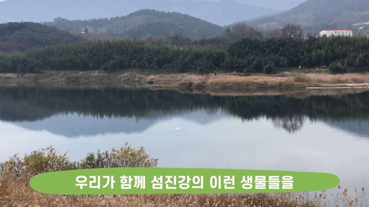 칩코와 구례이웃생물들 17화_6.png