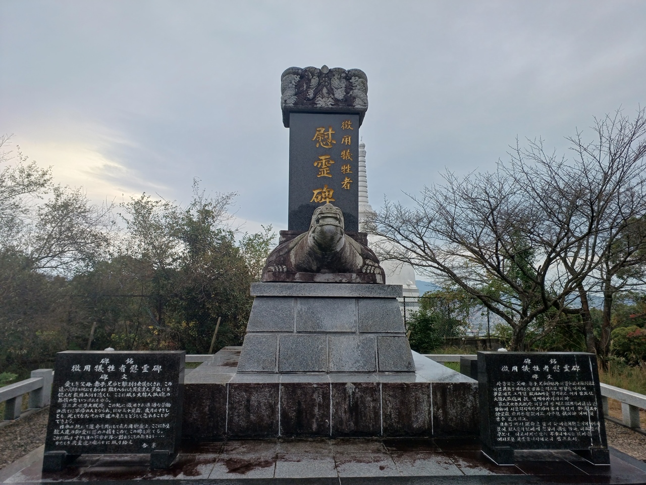 김양오 (9).jpg