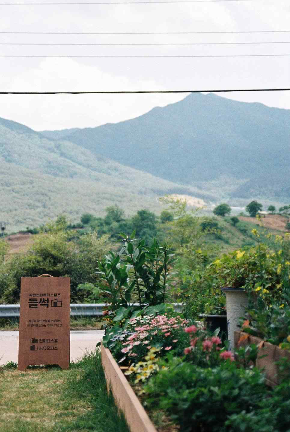 들썩의 뜰에서 보이는 풍경. 다양한 꽃이 자라는 화단과 앞산의 능선.