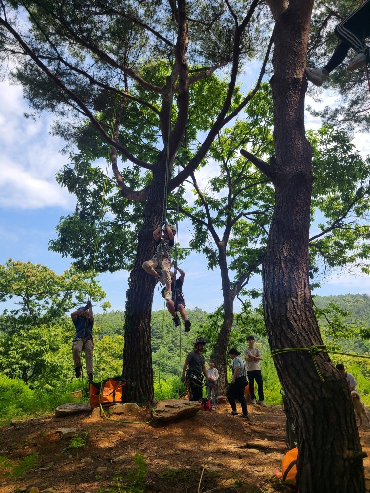 산청_정효은 (3).jpg