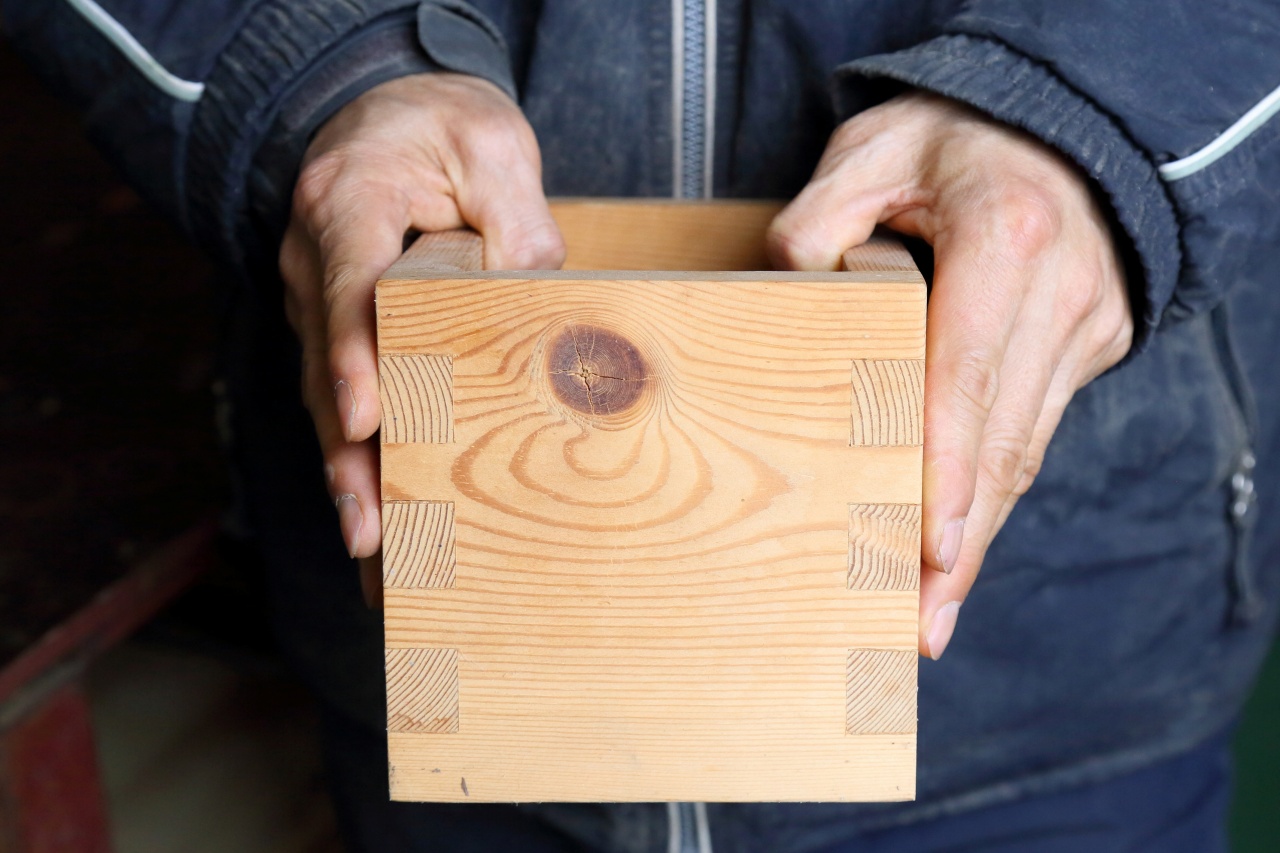 나무야놀자 (1).JPG