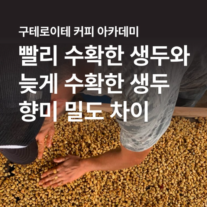 02686816fb8b6.png