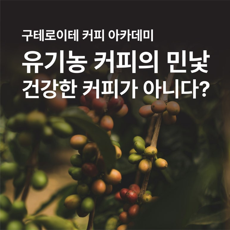3a7516eac9942.jpg