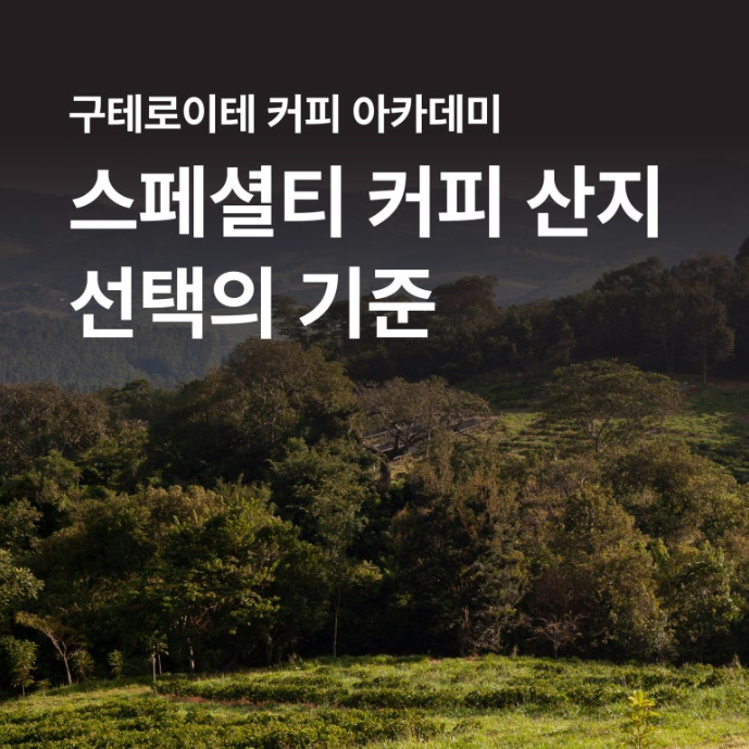 aa3e23735e949.png