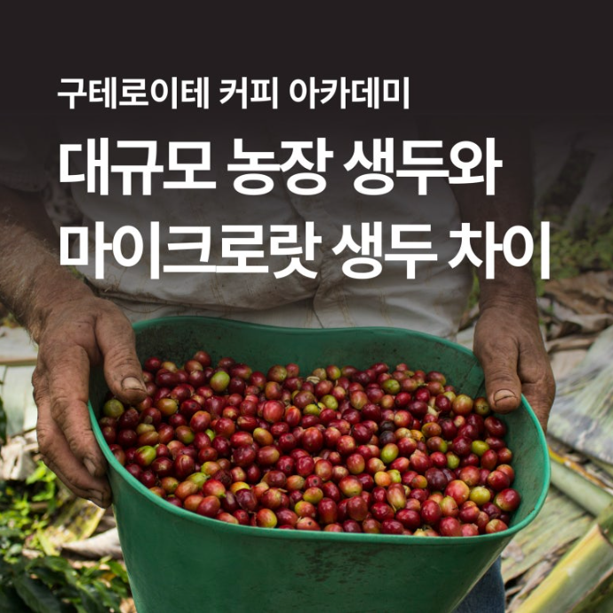 d7904624a029f.png