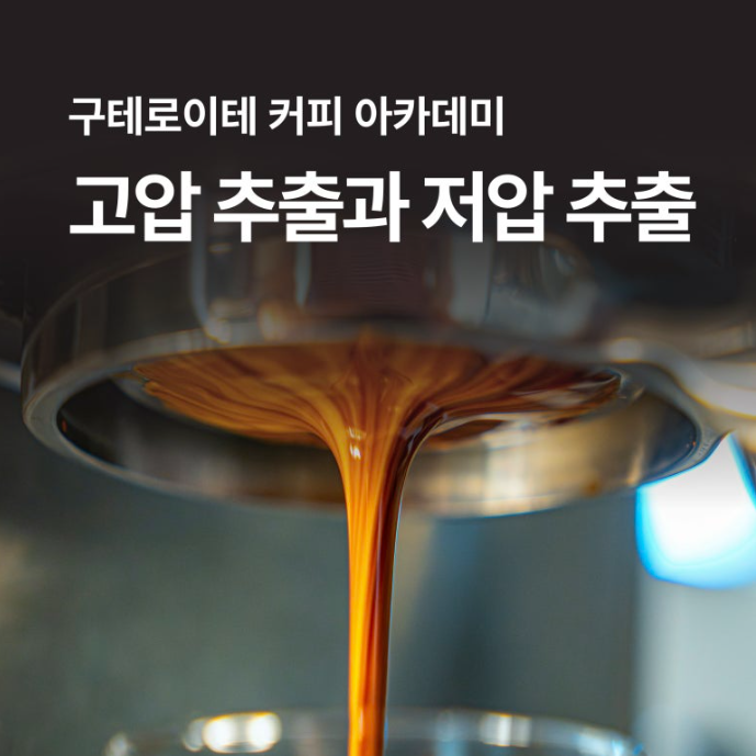 d99d45e052c4b.png
