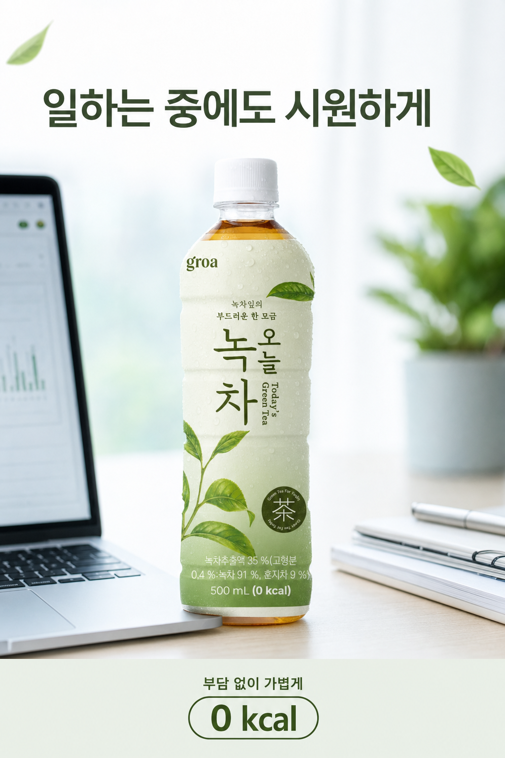 그로아 오늘 녹차 500ml 20개