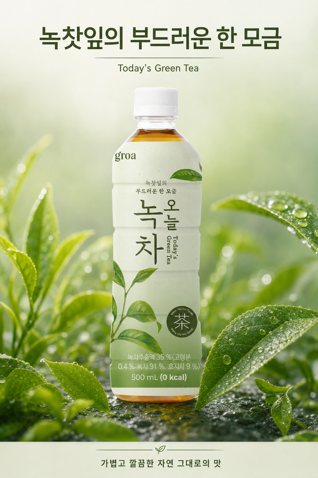 그로아 오늘 녹차 500ml 20개