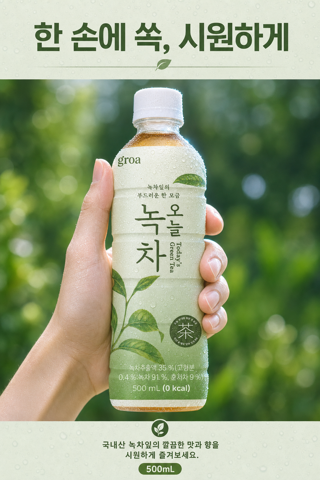 그로아 오늘 녹차 500ml 20개