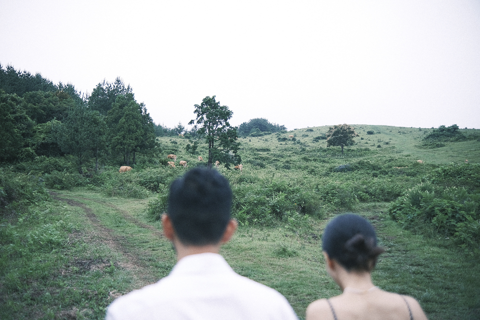 a72203cedeba3.jpg