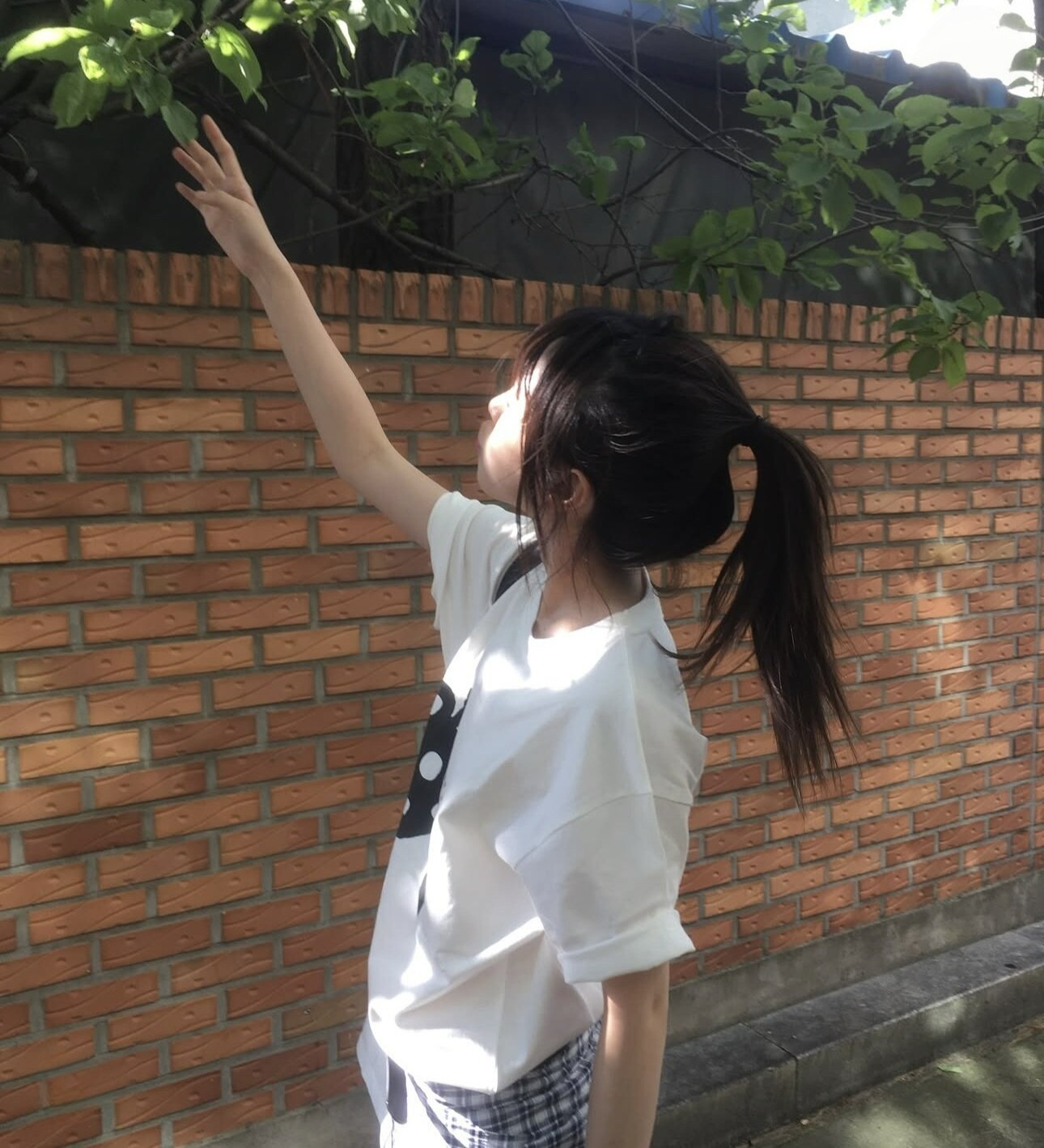 도트 사과 순면 반팔 티셔츠 (화이트) 빅사이즈 여름 반팔