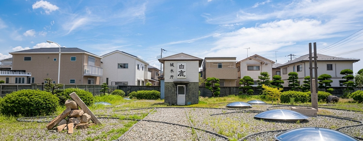 3f486ed78fa13.jpg