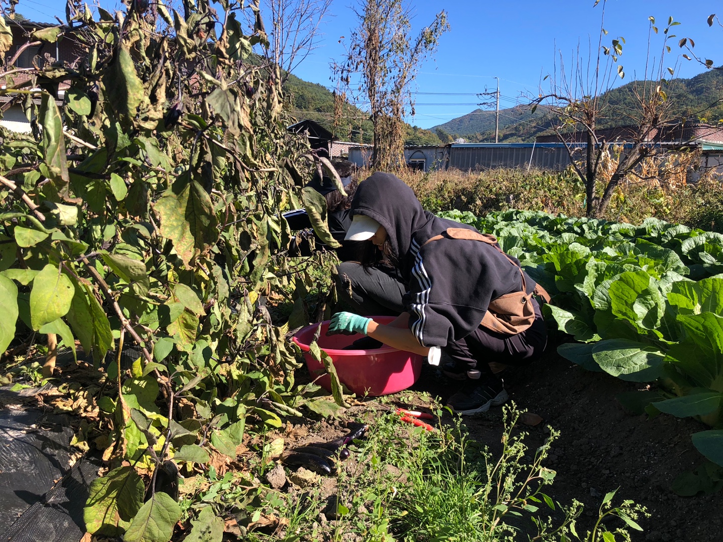 893051a4f5c07.jpeg