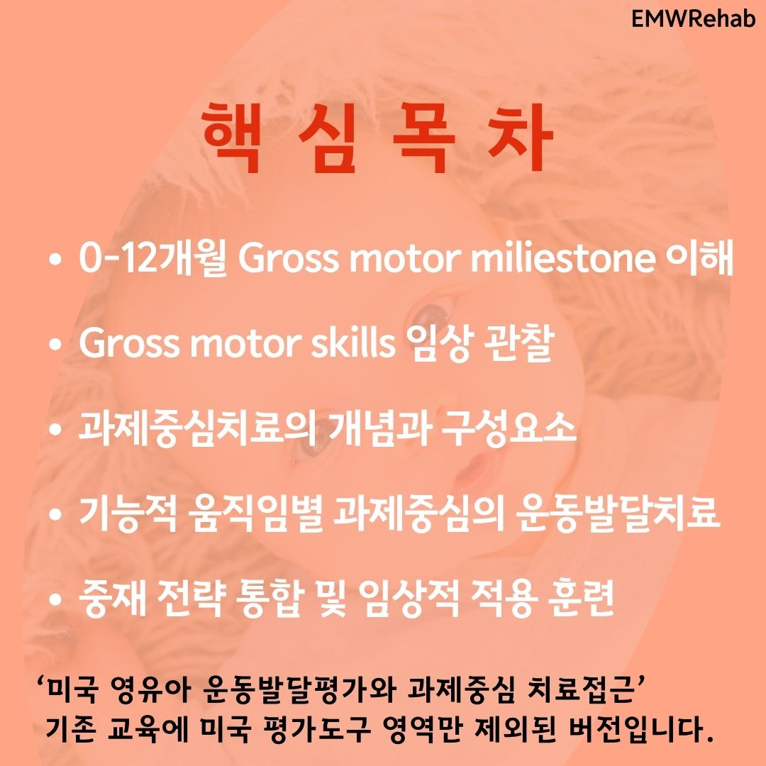 영아기 과제중심의 운동발달치료 접근