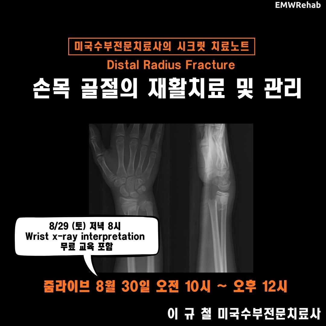 손목 골절의 재활치료 및 관리(DR Fracture)