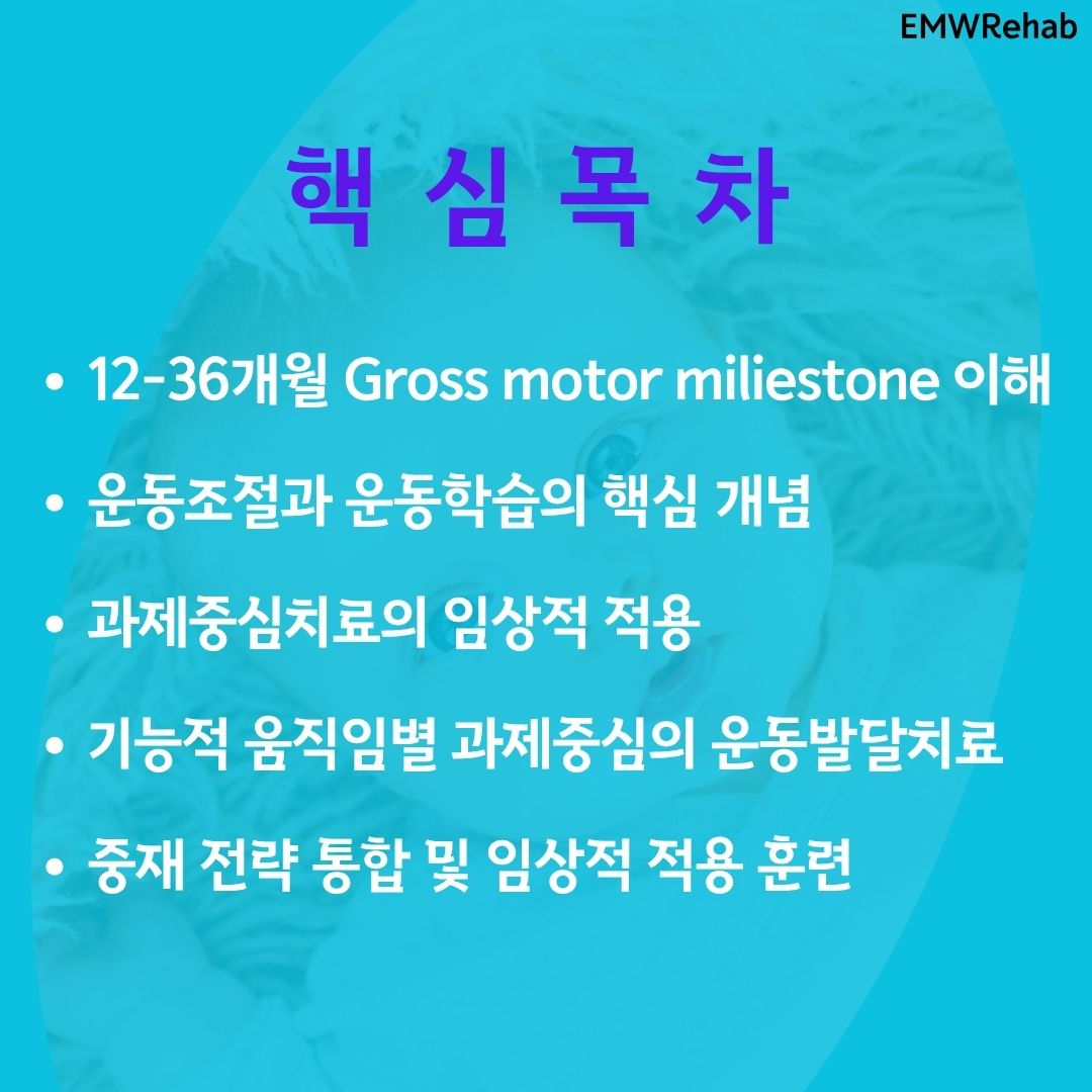 유아기 과제중심의 운동발달치료 접근