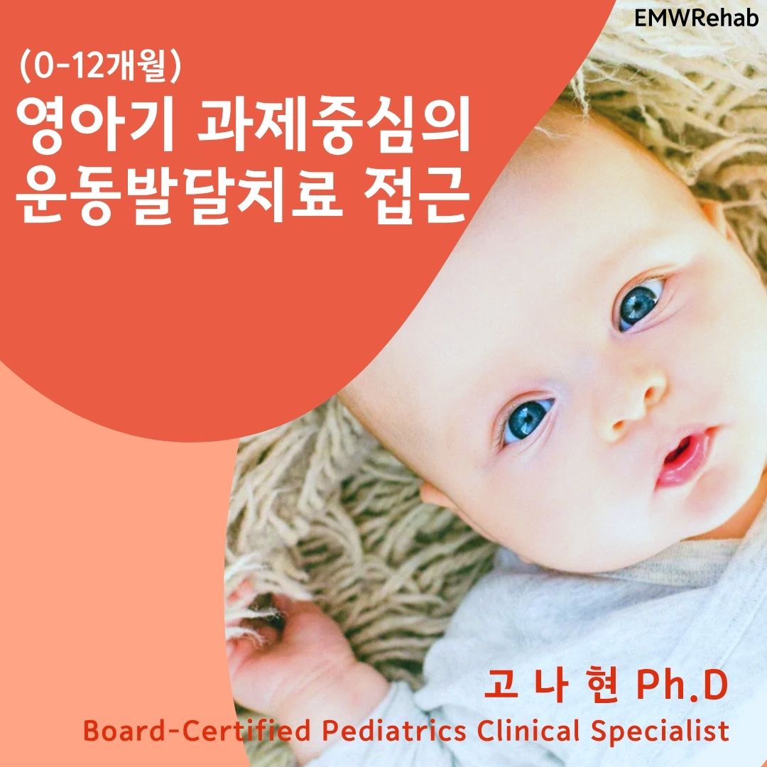 영아기 과제중심의 운동발달치료 접근