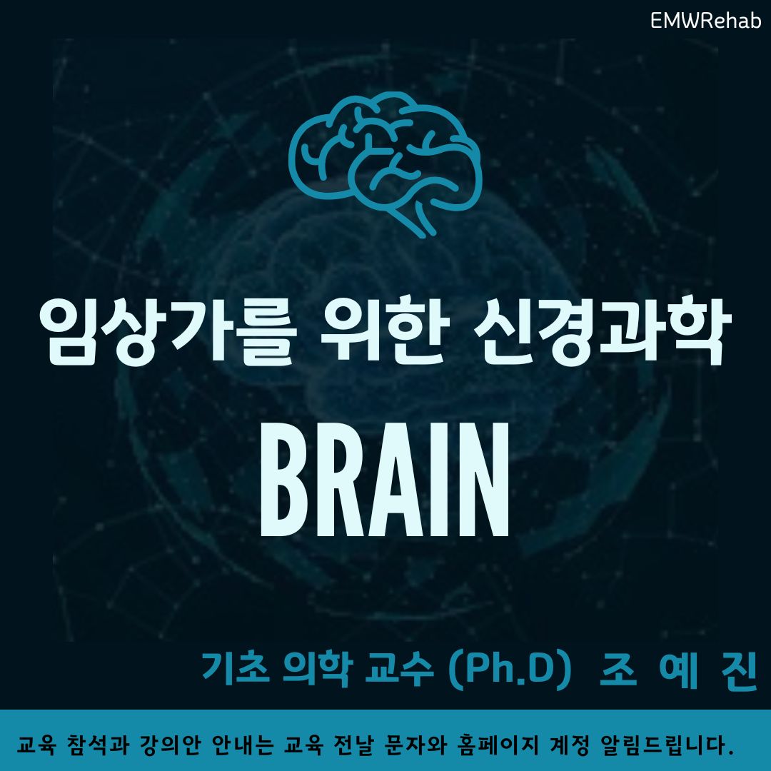 임상가를 위한 신경과학 (뇌)