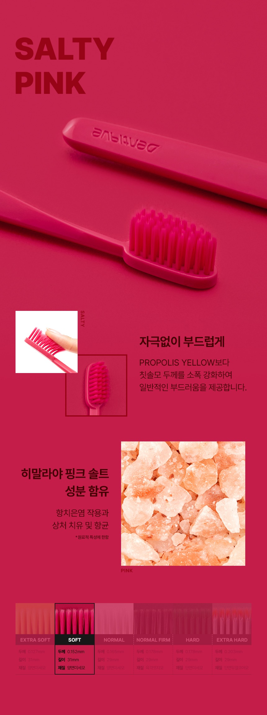 덴띠끄 스탠다드 칫솔