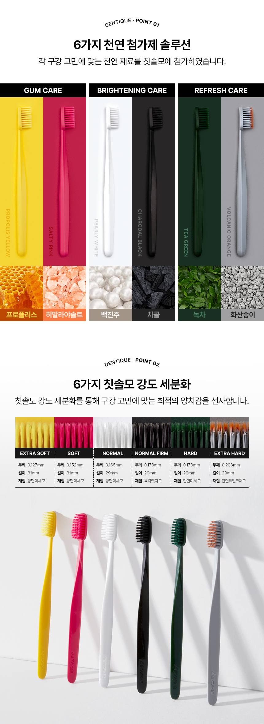 덴띠끄 스탠다드 칫솔
