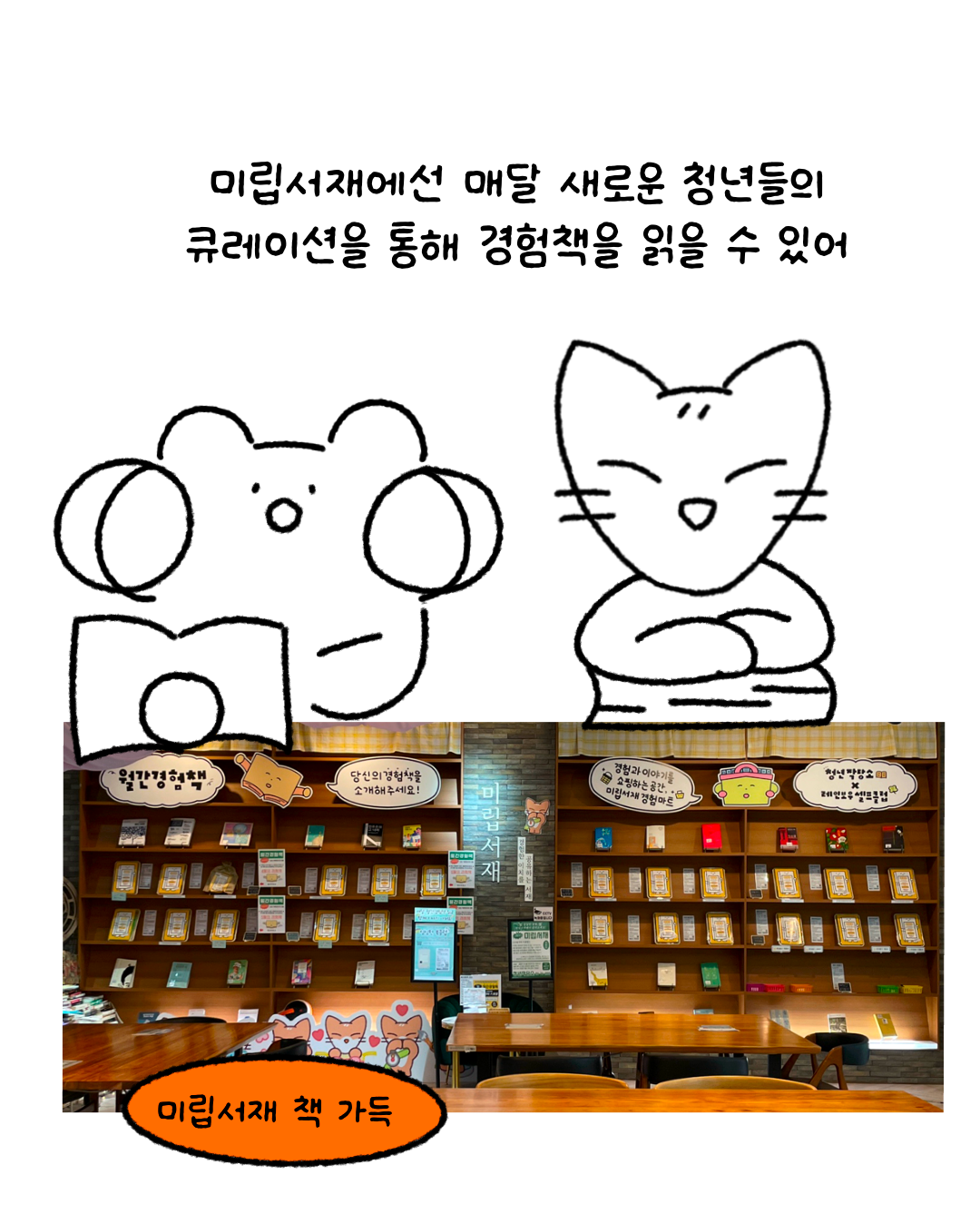 d1c816d5fe420.png