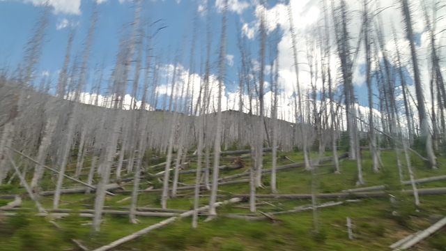 1b21d03864316.jpg