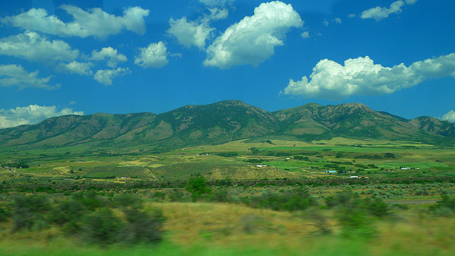 20f8862a9d449.jpg