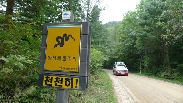 차가 다니는 길 따로, 사람이 다니는 길 따로.. : 국립공원을지키는시민의모임