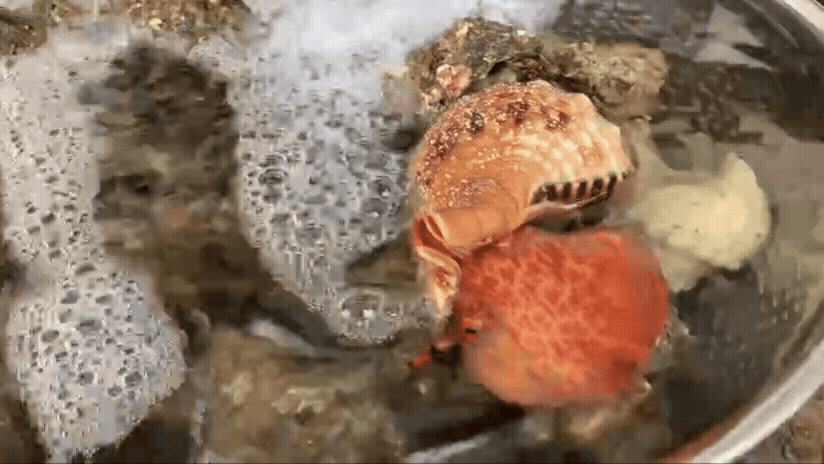 40939b39e42c9.gif