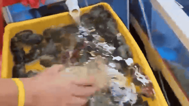 49727209c4b38.gif