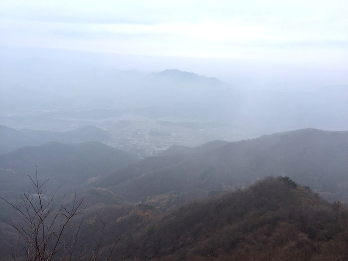 5c9a991b6d127.jpg
