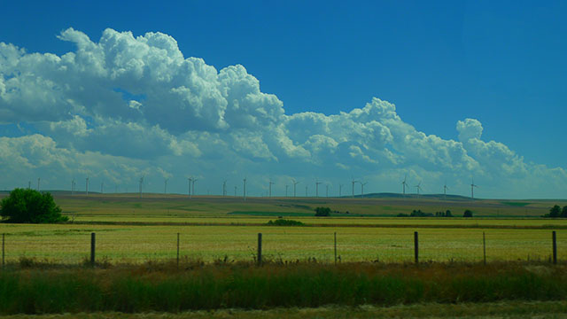 7c9809edd412f.jpg
