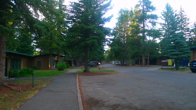 876ccfe1c3b40.jpg