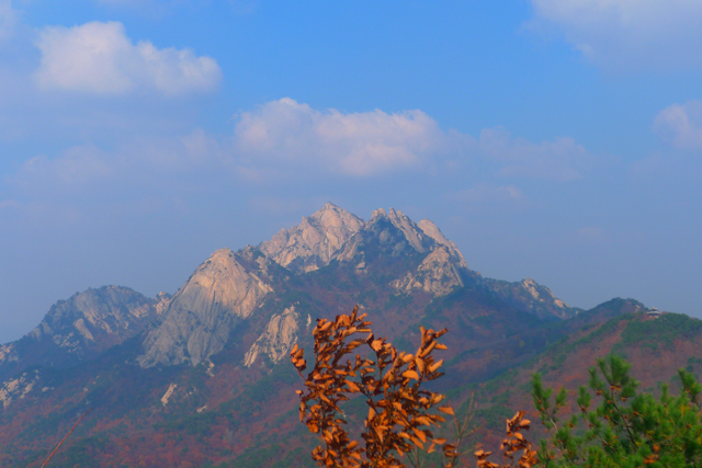 a02788f2d9482.jpg