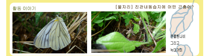 a04d170a53360.gif