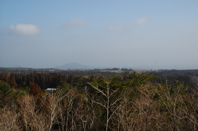 a53b956dae762.jpg