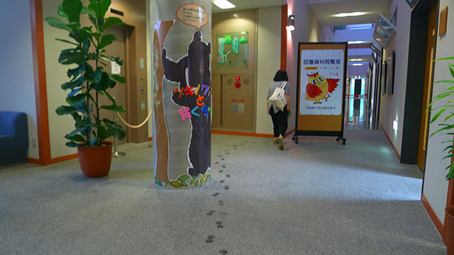 b3dbeb1dd4145.jpg