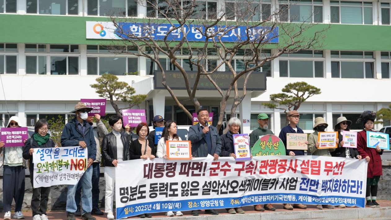 b84b6c4451cb2.jpg