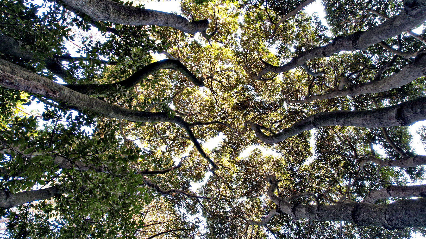 c8579ee074c0b.jpg
