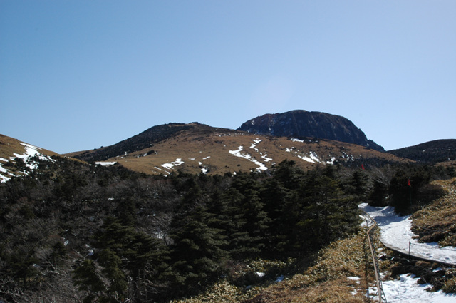 d9658bcf70885.jpg