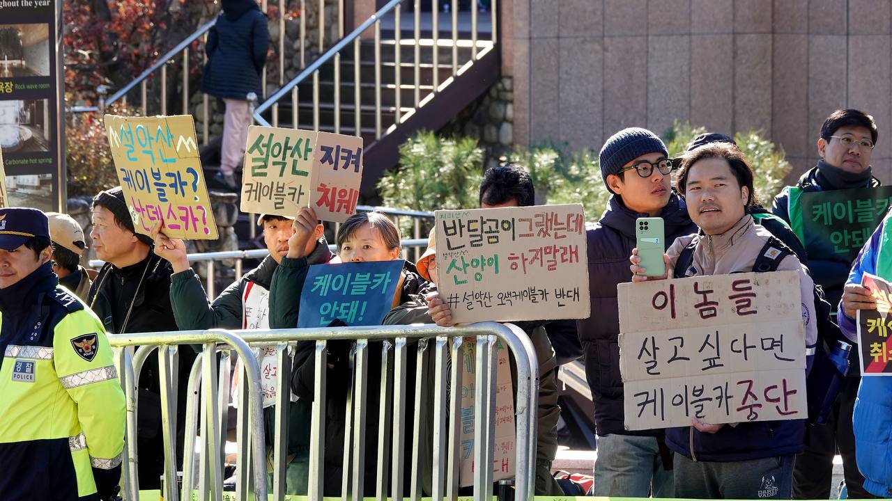 d9941c523c431.jpg