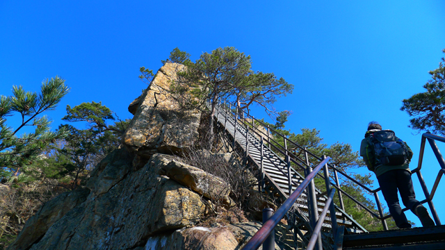 e6e2f091743ca.jpg