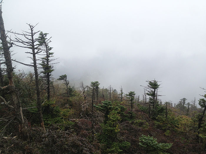 f2190350568b5.jpg